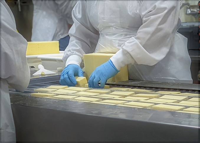 Packline Workers Producing Clean Label Cheese Products